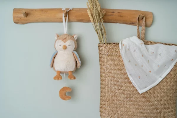 Boîte à musique | Chouette – Image 3
