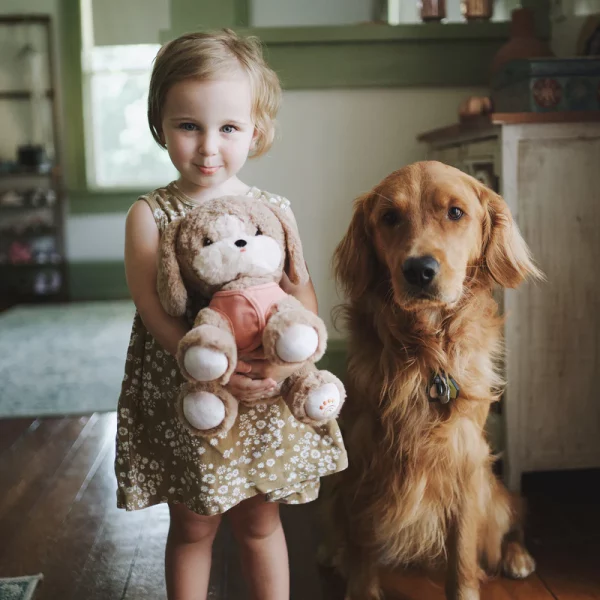 Chien peluche – Image 2