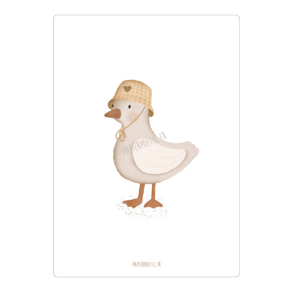 Carte | Mouette cool