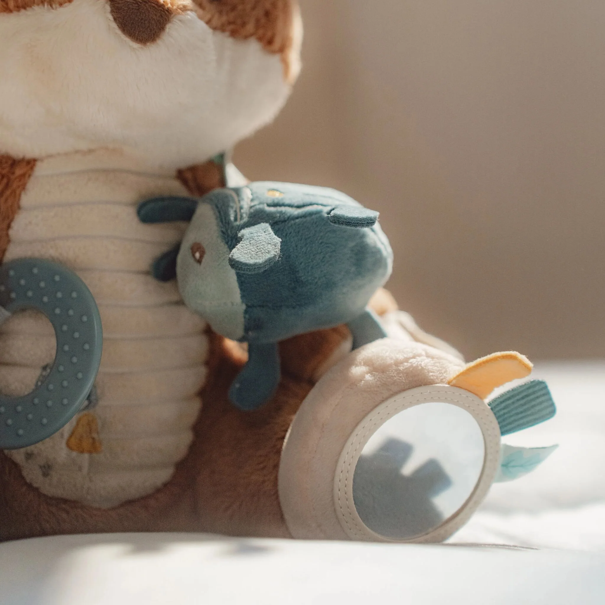 Renard d'activités – Image 7