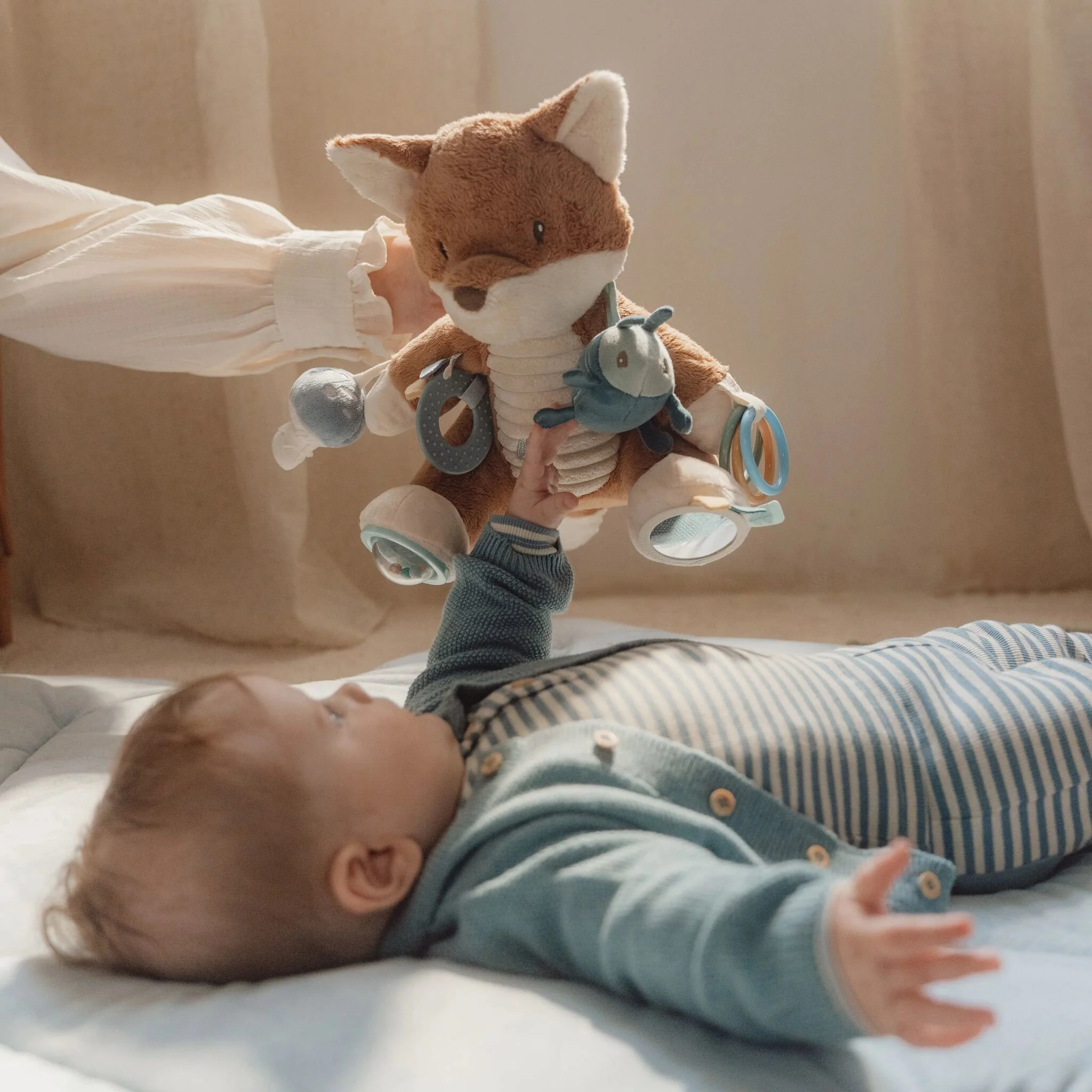 Renard d'activités – Image 4