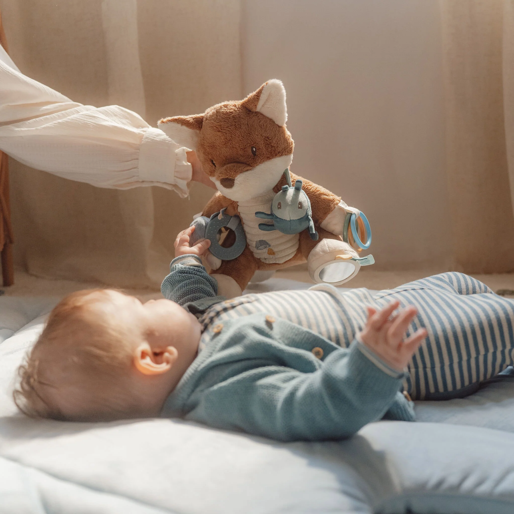 Renard d'activités – Image 9