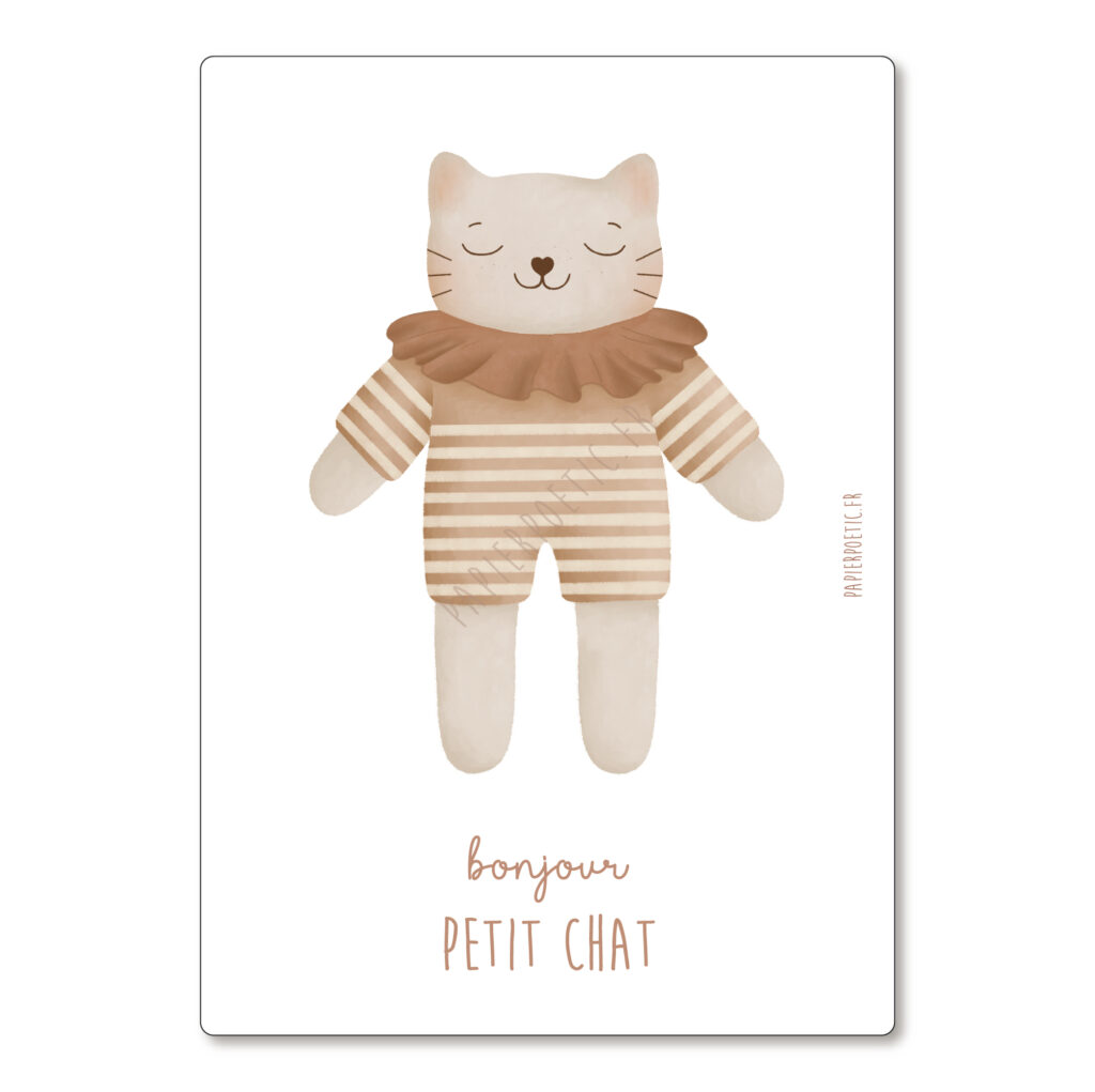 Carte | Doudou chat