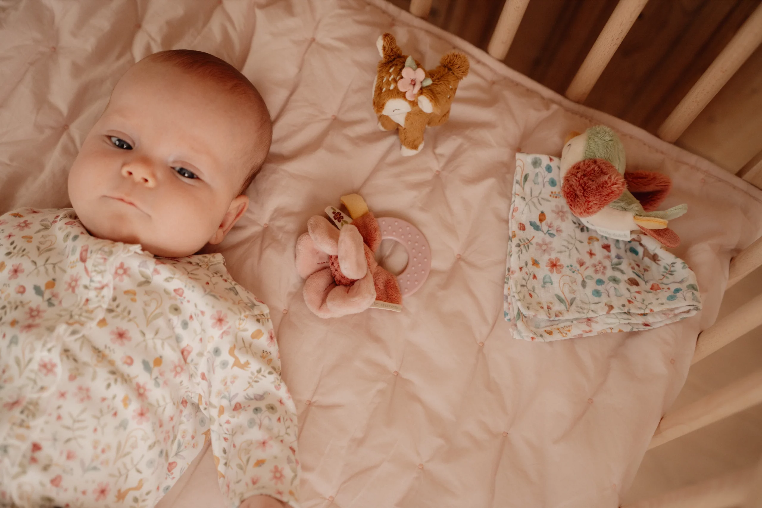 Coffret cadeau | Fairy garden – Image 5