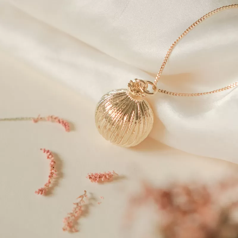 Bola de grossesse | Merveille