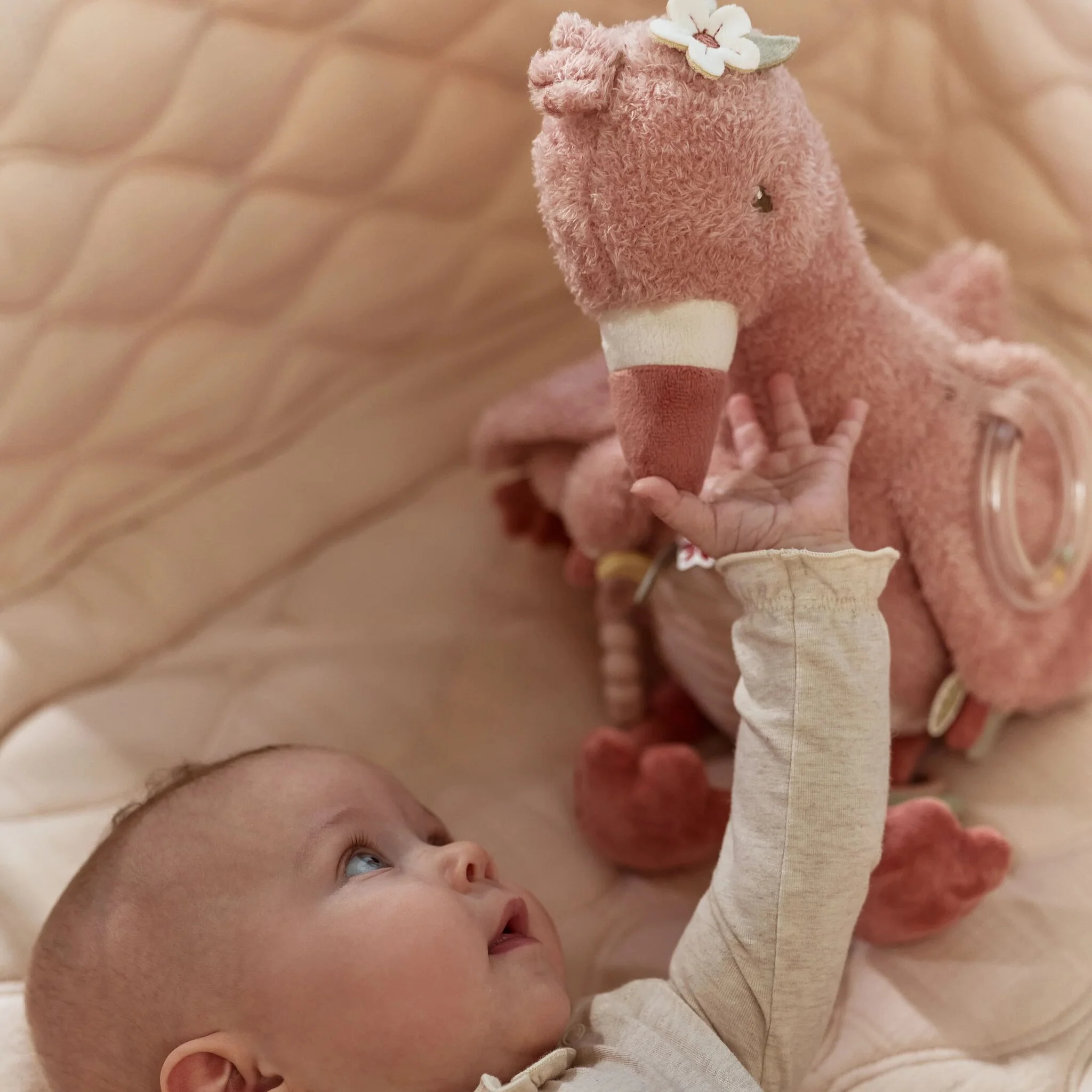 Flamant rose d'activités – Image 3