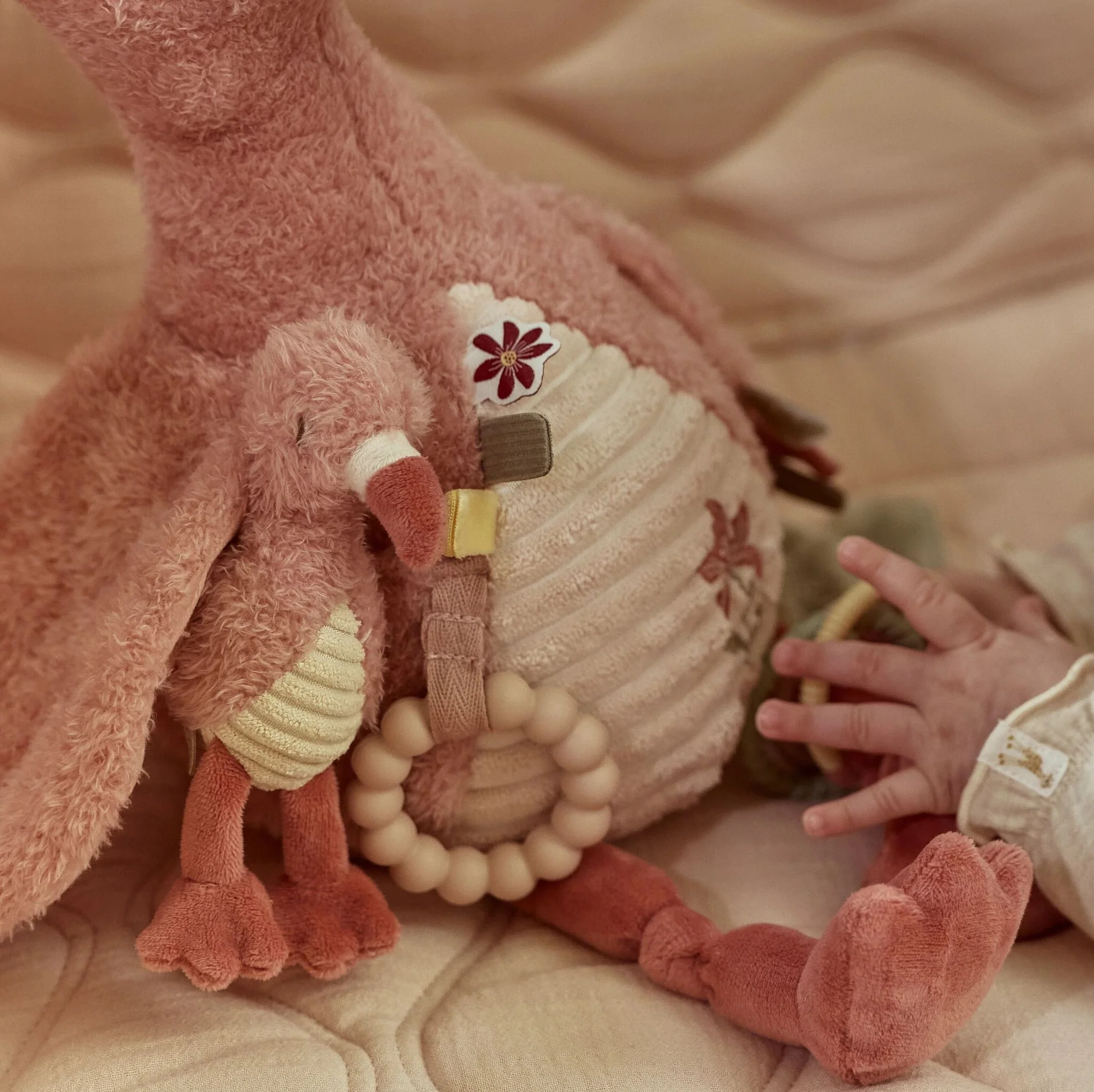 Flamant rose d'activités – Image 4