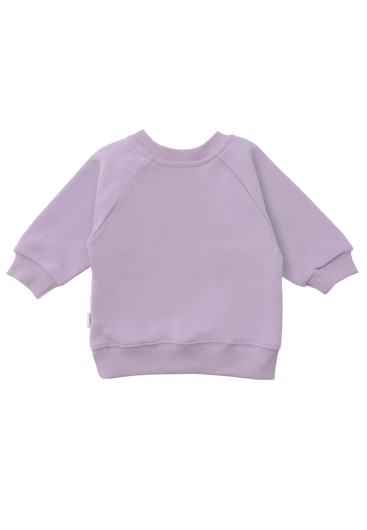 Sweat violet | 6 AM Club – Image 3