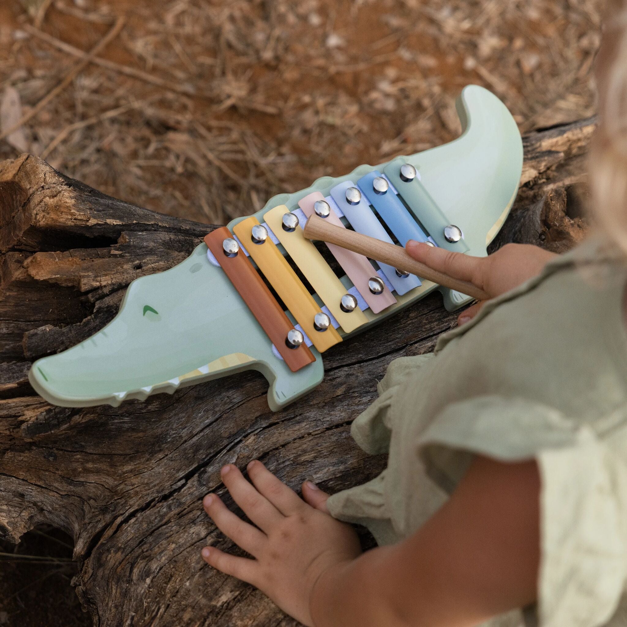 Xylophone Crocodile